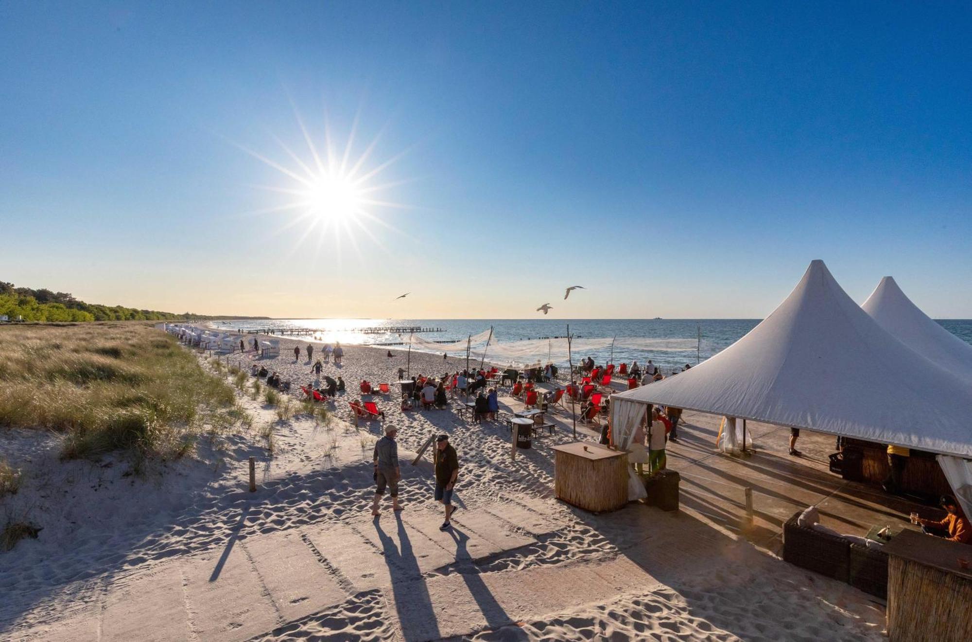 Kleine Freiheit An Der Seebruecke Zingst Eksteriør billede